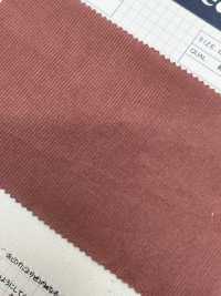 2030 22W Leichter Sommercord[Textilgewebe] Kumoi Beauty (Chubu Velveteen Cord) Sub-Foto