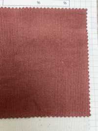 2030 22W Leichter Sommercord[Textilgewebe] Kumoi Beauty (Chubu Velveteen Cord) Sub-Foto