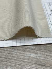 1150 14W T/C-Cord[Textilgewebe] Kumoi Beauty (Chubu Velveteen Cord) Sub-Foto