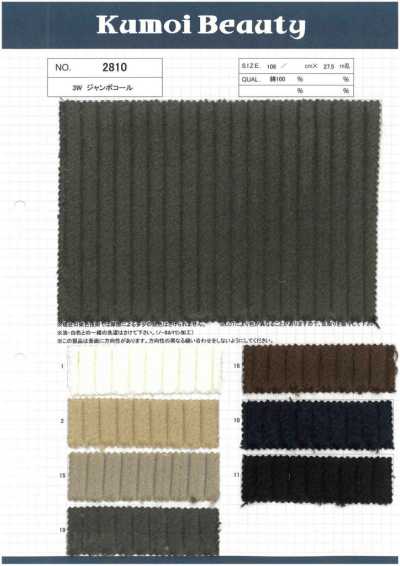 2810 3W Jumbo-Cord