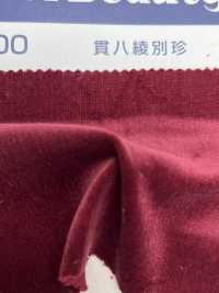 N12300 Kanpachi-Twill-Samt[Textilgewebe] Kumoi Beauty (Chubu Velveteen Cord) Sub-Foto