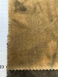 DCL238 Stretch Velveteen Decolore (Ungleichmäßige Bleiche)[Textilgewebe] Kumoi Beauty (Chubu Velveteen Cord) Sub-Foto