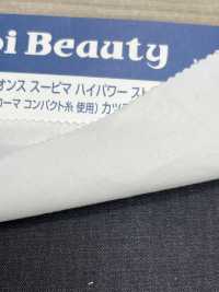 SAP3040 6 Unzen Supima Hochleistungs-Dehnbohrer (3/1)[Textilgewebe] Kumoi Beauty (Chubu Velveteen Cord) Sub-Foto