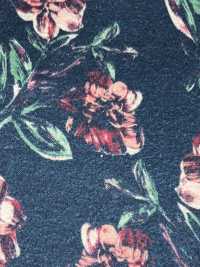 54035-2 Softy Fuzzy Gemini[Textilgewebe] SAKURA-UNTERNEHMEN Sub-Foto