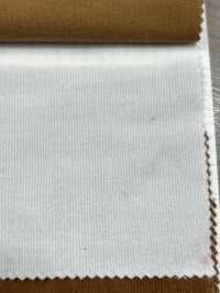 2700 27W Slender Cord Ausgesetzt[Textilgewebe] Kumoi Beauty (Chubu Velveteen Cord) Sub-Foto