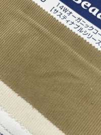 OG2180 14W Baumwolle/Bio-Cord[Textilgewebe] Kumoi Beauty (Chubu Velveteen Cord) Sub-Foto