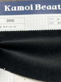 2050 14W Sommercord[Textilgewebe] Kumoi Beauty (Chubu Velveteen Cord) Sub-Foto
