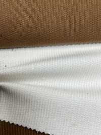 CF2070 14W C/F Sommercord[Textilgewebe] Kumoi Beauty (Chubu Velveteen Cord) Sub-Foto