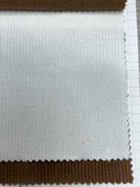 CF2070 14W C/F Sommercord[Textilgewebe] Kumoi Beauty (Chubu Velveteen Cord) Sub-Foto