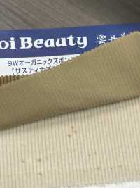 OG7080 9W Organic Hosencord[Textilgewebe] Kumoi Beauty (Chubu Velveteen Cord) Sub-Foto