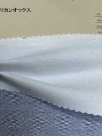 3351 Amerikanisches Oxford[Textilgewebe] ARINOBE CO., LTD. Sub-Foto