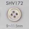SHV172 4-Loch-Perlmuttknopf mit Rand