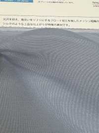 6120-FT Raffiniertes Mesh-Organza[Textilgewebe] Suncorona Oda Sub-Foto