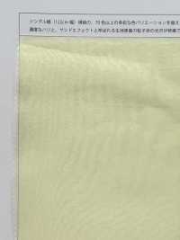 P-122T Palettenorganza (Einfache Breite)[Textilgewebe] Suncorona Oda Sub-Foto