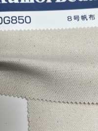 OG850 Nr. 8 Leinwand[Textilgewebe] Kumoi Beauty (Chubu Velveteen Cord) Sub-Foto