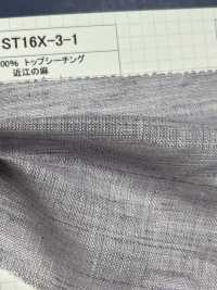 ST16X-3-1 100 % Leinen Von Loomstate Ohmi Leinen[Textilgewebe] Kumoi Beauty (Chubu Velveteen Cord) Sub-Foto