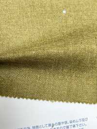 M40000 Ungleichmäßiger Faden Morley Canvas Double Face[Textilgewebe] Kumoi Beauty (Chubu Velveteen Cord) Sub-Foto