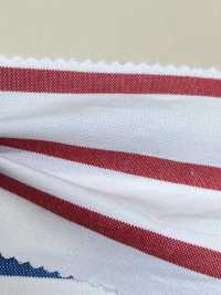 3331 Amerikanische Oxford-Horizontalstreifen[Textilgewebe] ARINOBE CO., LTD. Sub-Foto