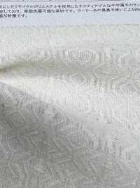 42889 ♻︎Raschelspitze Aus Polyester[Textilgewebe] SUNWELL Sub-Foto