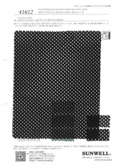 41612 Geometrische Raschelspitze aus Polyester