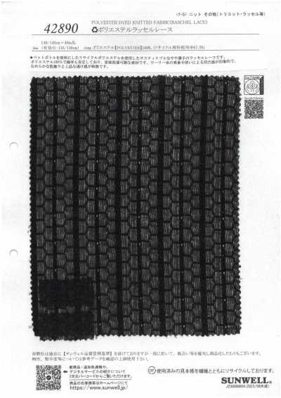42890 ♻︎ Polyester-Raschelspitze