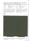 2909 40er Typewriter Solotex Viva-Finish
