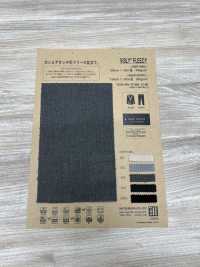 AW91000 VISLY®️ FLEISCH[Textilgewebe] Matsubara Sub-Foto