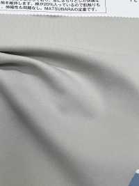 KS0060 COOLLUCK-BAUMWOLLE[Textilgewebe] Matsubara Sub-Foto