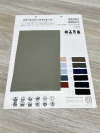 MT31500 SCHÖNE GEOGETTE[Textilgewebe] Matsubara Sub-Foto