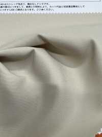 WMFDS6502 BASIC-PE-TWILL[Textilgewebe] Matsubara Sub-Foto