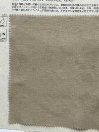 BD6322 Klassische Popeline-Omi-Bleached-CC-Verarbeitung[Textilgewebe] COSMO TEXTILE Sub-Foto