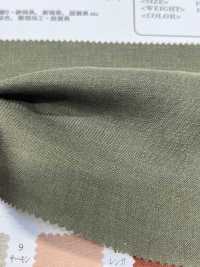 OA21272 60/1・JAPANISCHES LEINEN (Gebrochenes Weiß)[Textilgewebe] Oharayaseni Sub-Foto