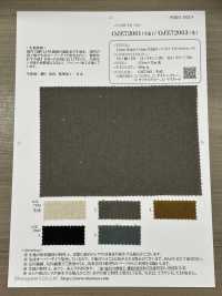 OJE72061 Leinen-Ramie-Baumwoll-generiertes, überfärbtes, Natürliches Canvas (Ecru)[Textilgewebe] Oharayaseni Sub-Foto