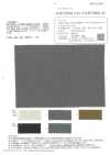 OJE72061 Leinen-Ramie-Baumwoll-generiertes, überfärbtes, Natürliches Canvas (Ecru)