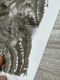 KKF8575-D4 Einzelohr-Skalar-Ny/Ry-Kordelspitze[Textilgewebe] Uni Textile(Komon Studio) Unterfoto