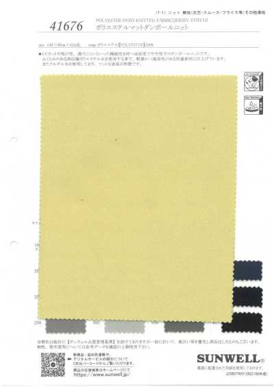 41676 Polyester-Matt-Doppelstrick