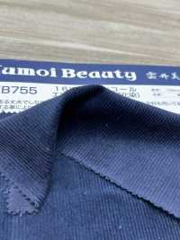 NKB755 16W Hose Cord Entropieverarbeitung (Sulfidfärbung)[Textilgewebe] Kumoi Beauty (Chubu Velveteen Cord) Sub-Foto