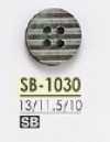 SB1030 Perlmutt Muschel 4-Loch Knopf