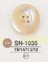 SN1035 Takase-Muschel-Vierlochknopf