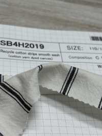 SB4H2019 Gestreifte Kreisförmige Interlock-Strickwäsche Aus Recycelter Baumwolle[Textilgewebe] SHIBAYA Sub-Foto