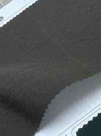 LIG6087-RE C/RECYCLE Ny Hyde Taft[Textilgewebe] Lingo (Kuwamura-Textil) Sub-Foto