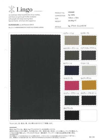 LIG6660 Glänzender Nylon-Jet-Taft