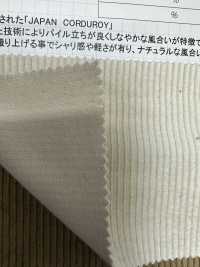 CF7000 9W C/F (Leinen) Cord[Outlet][Textilgewebe] Kumoi Beauty (Chubu Velveteen Cord) Sub-Foto