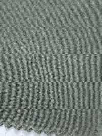 SB12166 GIZA Leichter Stoff Mit Vintage-Finish[Textilgewebe] SHIBAYA Sub-Foto