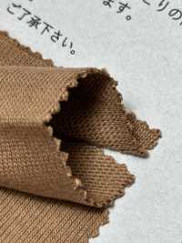 FJ230200 Extrem Reifer Baumwolljersey[Textilgewebe] Fujisaki Textile Sub-Foto