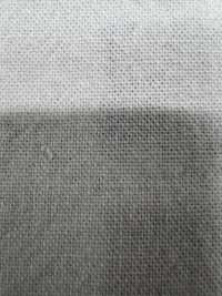 FJ380000 BAUMWOLLE/LEINEN CANVAS ENSYU SENPU[Textilgewebe] Fujisaki Textile Sub-Foto