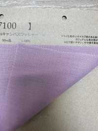 S7100 Französisches Leinen, 40-fädig, Gewaschen[Textilgewebe] Fujisaki Textile Sub-Foto