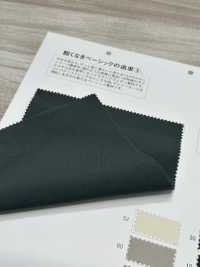 MT33600 Ashitamo -leichtes Wetter-[Textilgewebe] Matsubara Sub-Foto