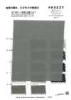 RN5037 Baumwoll-Ramie-Lawn Plat Air In