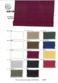 RN6003 Bio-Gaze ​​Grand Canyon Wild Wave[Textilgewebe] KOYAMA Sub-Foto